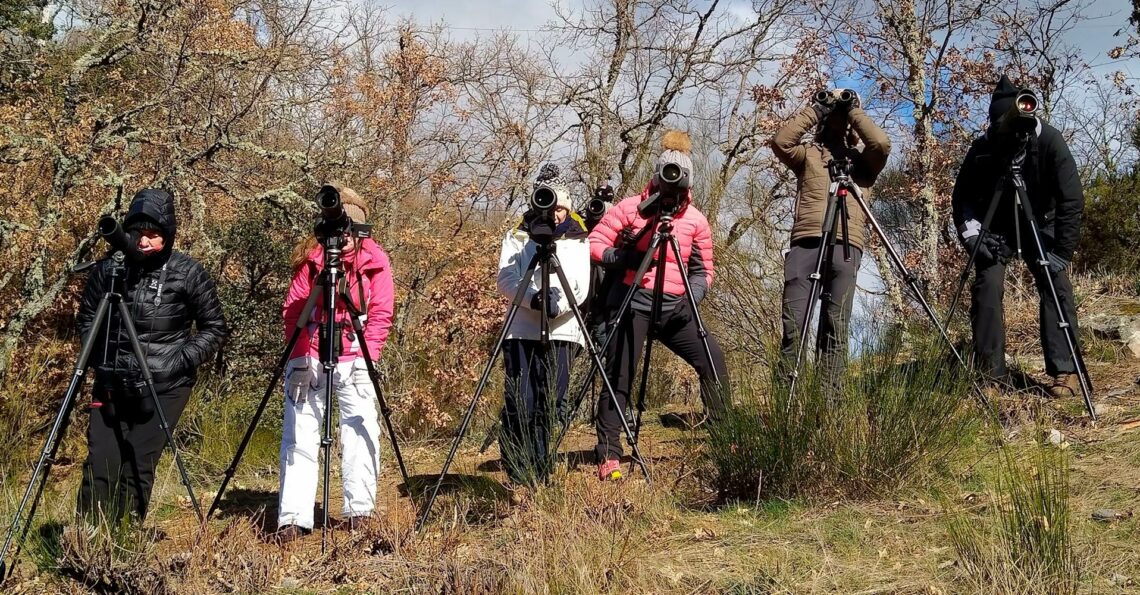 Observacion de Fauna