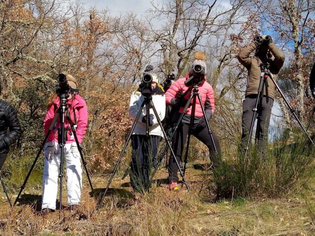 Observacion de Fauna